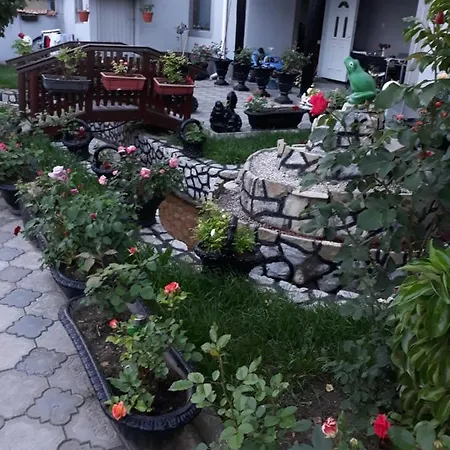Vila Vlajic Apartman *